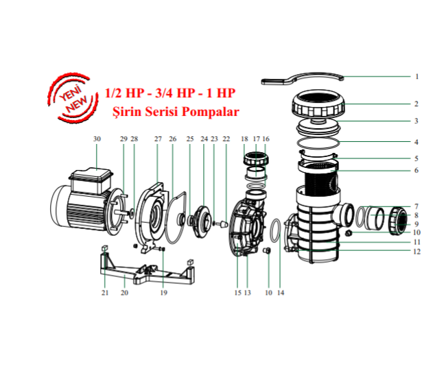 Şirin Serisi 1 HP Elektrik Motoru (Mono)